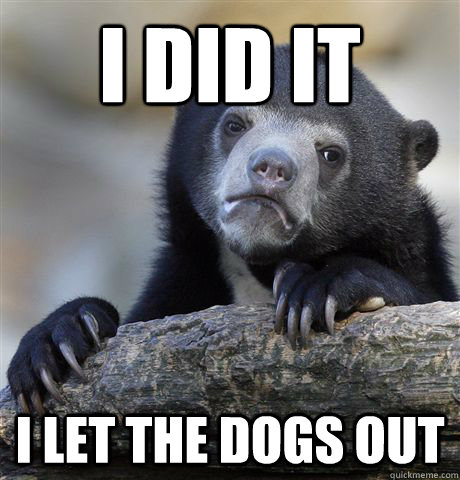 I DID IT I LET THE DOGS OUT  Confession Bear