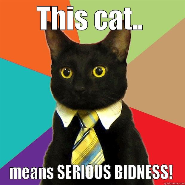 I MEAN BIDNESS - THIS CAT.. MEANS SERIOUS BIDNESS! Business Cat