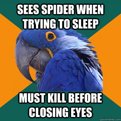 Sees spider when trying to sleep must kill before closing eyes  Paranoid Parrot