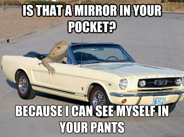 Is that a mirror in your pocket? Because I can see myself in your pants
 - Is that a mirror in your pocket? Because I can see myself in your pants
  Pickup Dragon