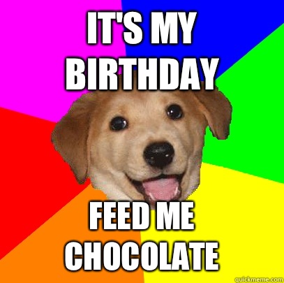 It's my birthday Feed me chocolate  Advice Dog