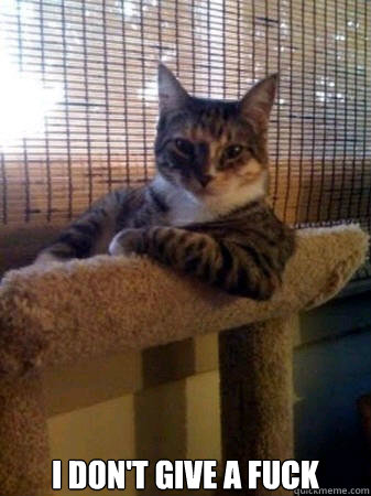  I don't give a fuck  The Most Interesting Cat in the World
