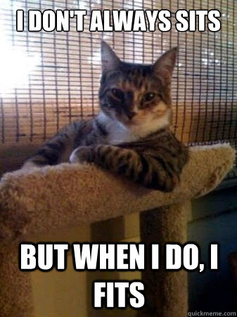 I don't always sits But when i do, i fits  The Most Interesting Cat in the World
