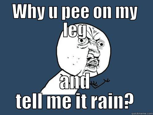 WHY U PEE ON MY LEG AND TELL ME IT RAIN? Y U No