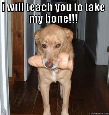 I WILL TEACH YOU TO TAKE MY BONE!!!  Misc