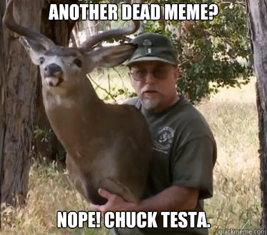 Another dead meme? Nope! Chuck Testa.  Chuck Testa