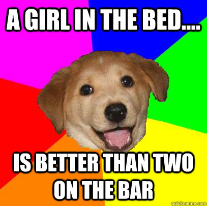 A girl in the bed.... Is better than two on the bar  Advice Dog