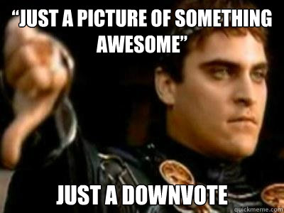 “Just a picture of something awesome” Just a downvote  Downvoting Roman