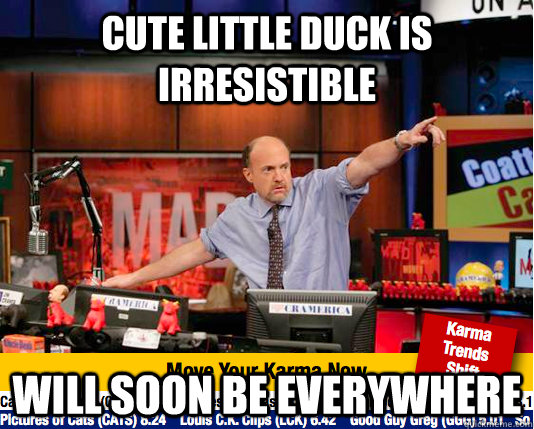 Cute little duck is irresistible will soon be everywhere  move your karma now