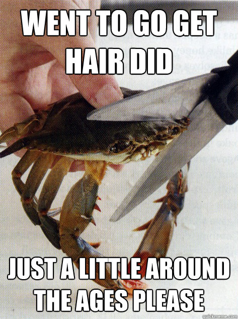 went to go get hair did just a little around the ages please  Optimistic Crab
