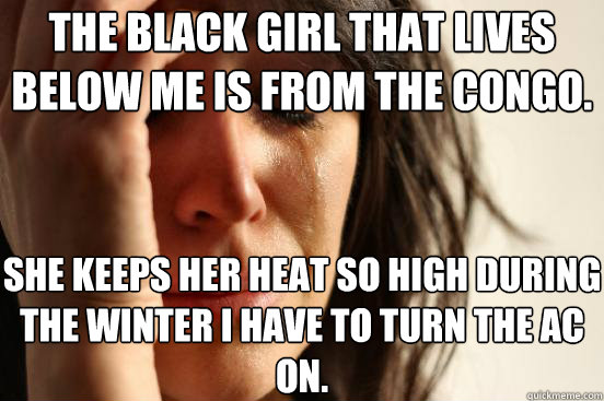 The black girl that lives below me is from the congo. She keeps her heat so high during the winter I have to turn the AC on.   First World Problems