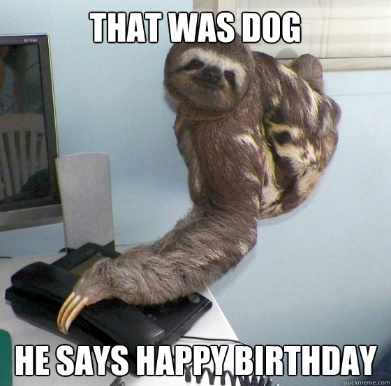 That was dog he says happy birthday   - That was dog he says happy birthday    Hanging up Sloth