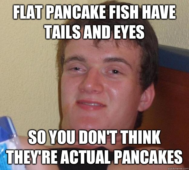 Flat pancake fish have tails and eyes So you don't think they're actual pancakes  10 Guy