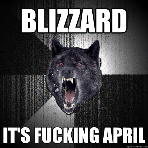 Blizzard It's fucking april  Insanity Wolf
