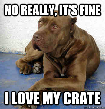 No really, it's fine I love my crate  