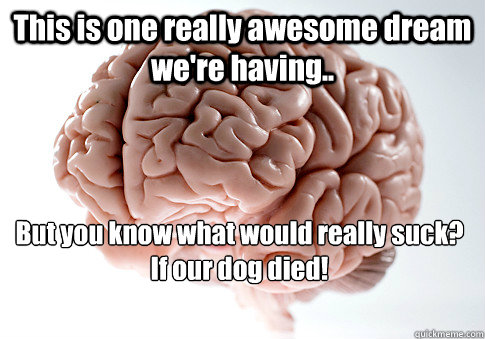 This is one really awesome dream we're having.. But you know what would really suck?
If our dog died!  Scumbag Brain
