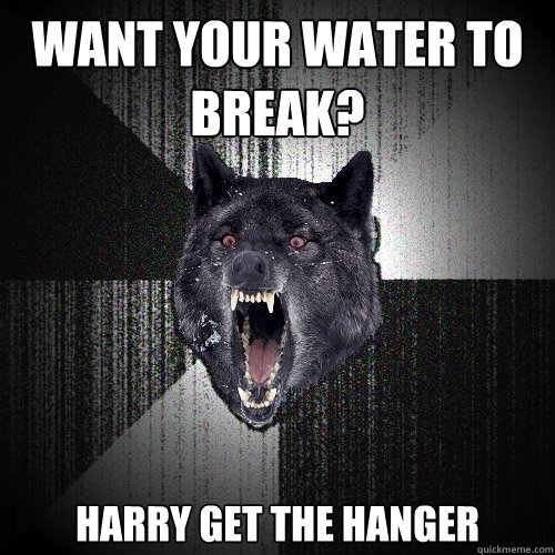 want your water to break? HARRY GET THE HANGER  Insanity Wolf