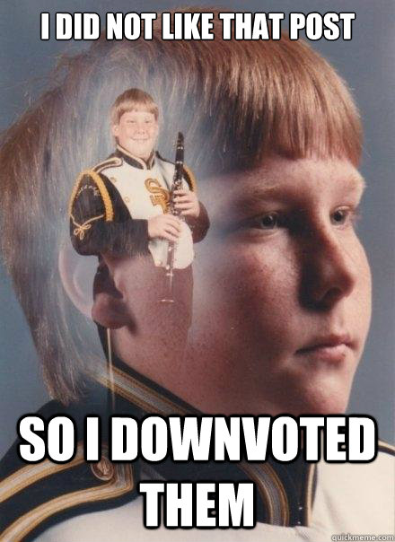I did not like that post So I downvoted them  PTSD Clarinet Boy