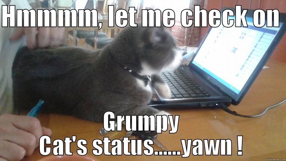 HMMMM, LET ME CHECK ON  GRUMPY CAT'S STATUS......YAWN ! Misc