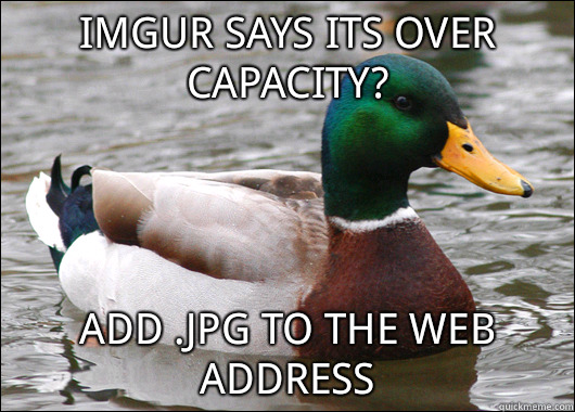 imgur says its over capacity?    add .jpg to the web address   Actual Advice Mallard