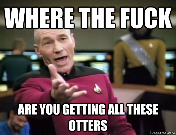 where the fuck are you getting all these otters  Annoyed Picard HD