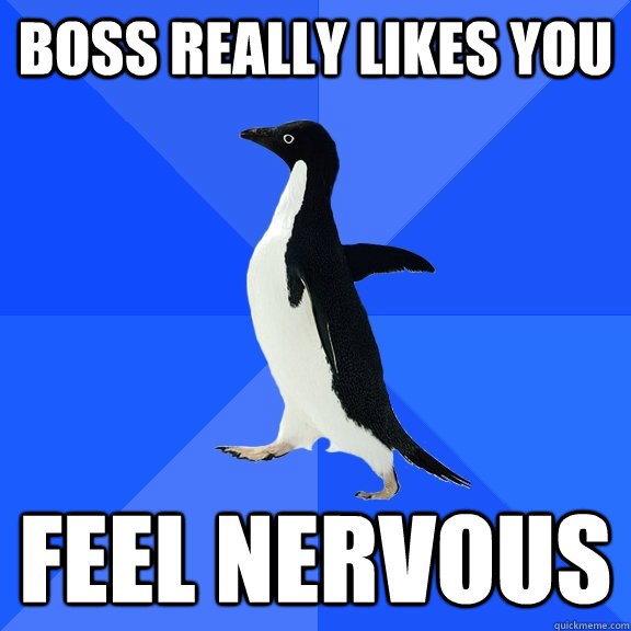 Boss really likes you Feel nervous - Boss really likes you Feel nervous  Socially Awkward Penguin