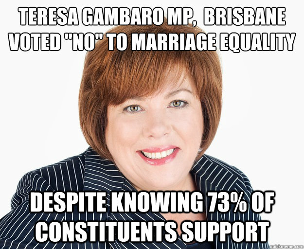 teresa gambaro mp,  brisbane
Voted 