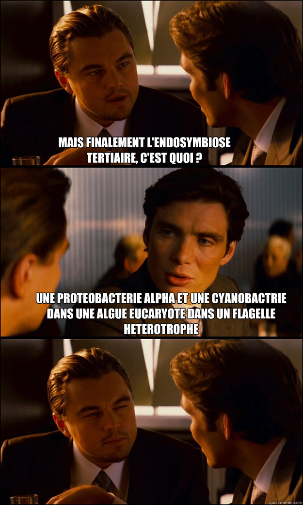 Mais finalement l'endosymbiose 
tertiaire, c'est quoi ?  Une proteobacterie alpha et une cyanobactérie dans une algue eucaryote dans un flagelle heterotrophe   Inception