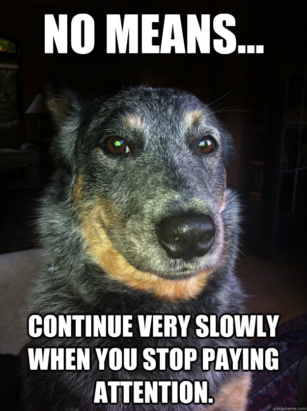 No means... Continue very slowly when you stop paying attention.  Sly Dog