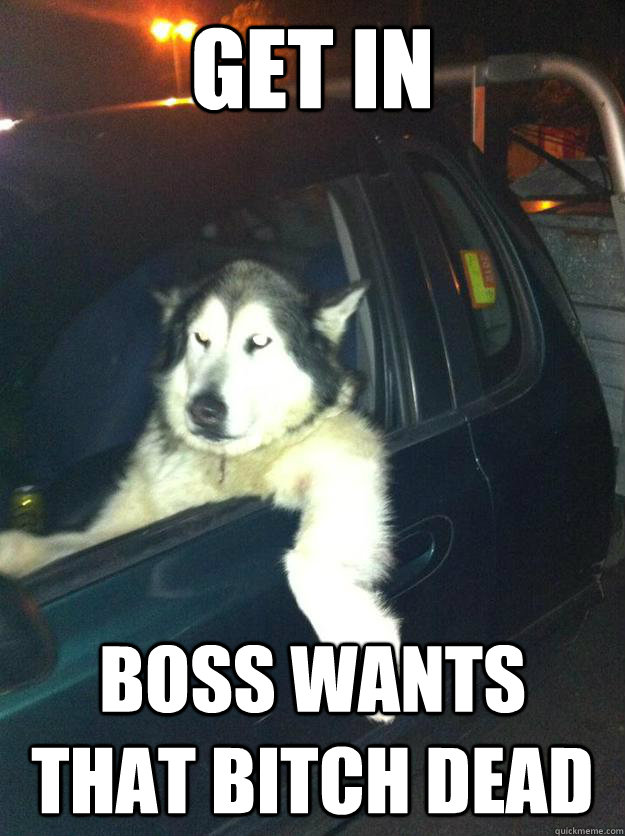 Get in Boss wants that bitch dead  Mean Dog