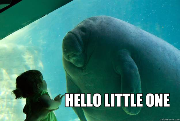                    hello little one   Overlord Manatee