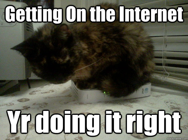 Getting On the Internet Yr doing it right - Getting On the Internet Yr doing it right  Picture of cat online