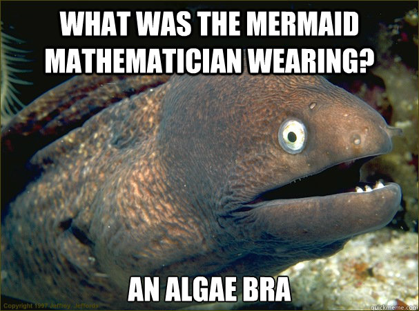 What was the mermaid mathematician wearing? An Algae Bra - What was the mermaid mathematician wearing? An Algae Bra  Bad Joke Eel