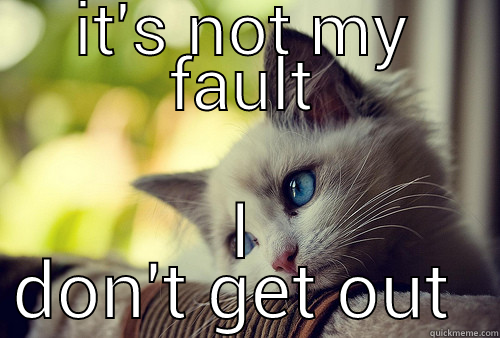 IT'S NOT MY FAULT I DON'T GET OUT MUCH First World Problems Cat