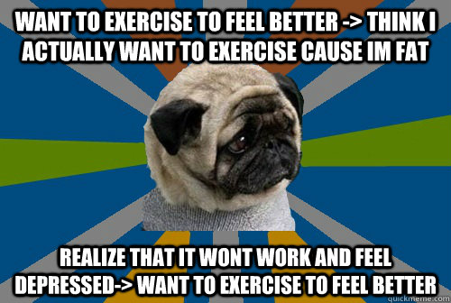 Want to exercise to feel better -> think i actually want to exercise cause im fat realize that it wont work and feel depressed-> want to exercise to feel better  Clinically Depressed Pug