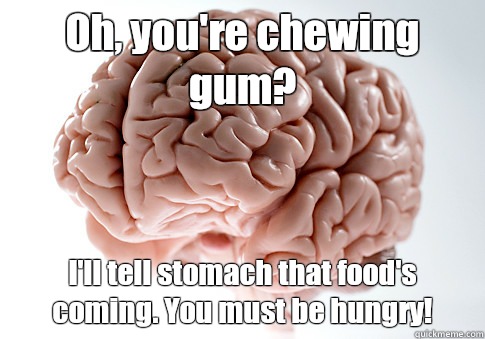 Oh, you're chewing gum?  I'll tell stomach that food's coming. You must be hungry!    Scumbag Brain