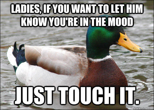 Ladies, if you want to let him know you're in the mood just touch it.  Actual Advice Mallard