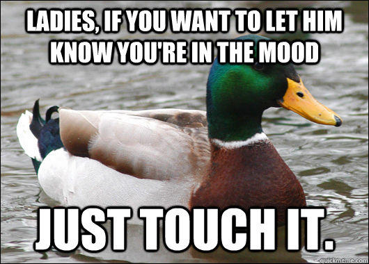 Ladies, if you want to let him know you're in the mood just touch it. - Ladies, if you want to let him know you're in the mood just touch it.  Actual Advice Mallard