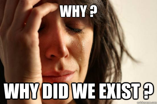 why ? why did we exist ?  First World Problems