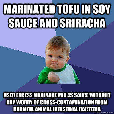 Marinated Tofu in Soy Sauce and Sriracha  Used excess marinade mix as sauce without any worry of cross-contamination from harmful animal intestinal bacteria - Marinated Tofu in Soy Sauce and Sriracha  Used excess marinade mix as sauce without any worry of cross-contamination from harmful animal intestinal bacteria  Success Kid