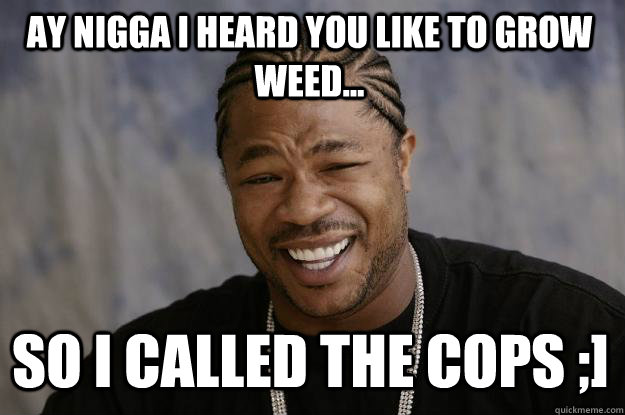 Ay Nigga i heard you like to grow weed... SO i called the cops ;] - Ay Nigga i heard you like to grow weed... SO i called the cops ;]  Xzibit meme