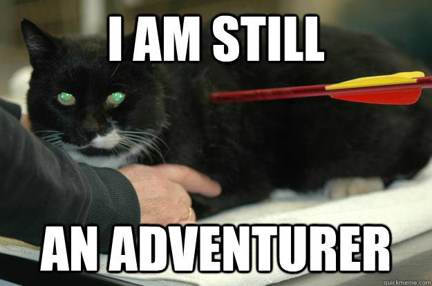 I am still an adventurer   Worlds Toughest Cat