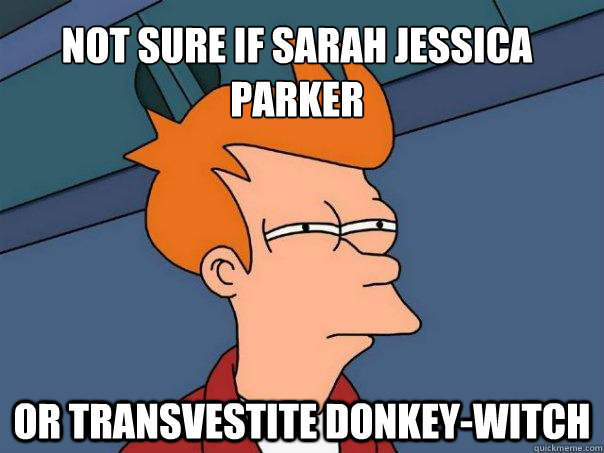 Not sure if Sarah jessica parker Or transvestite donkey-witch - Not sure if Sarah jessica parker Or transvestite donkey-witch  Futurama Fry
