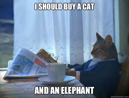 I should buy a cat And an elephant  The One Percent Cat