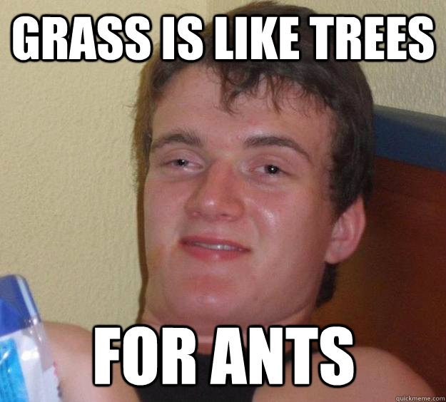 Grass is like trees for ants  10 Guy