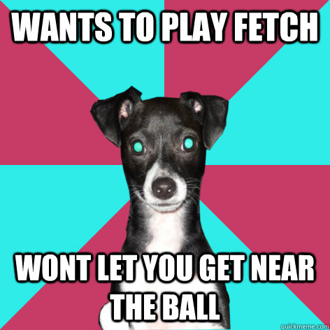 Wants to play fetch wont let you get near the ball - Wants to play fetch wont let you get near the ball  Dickhead Dog