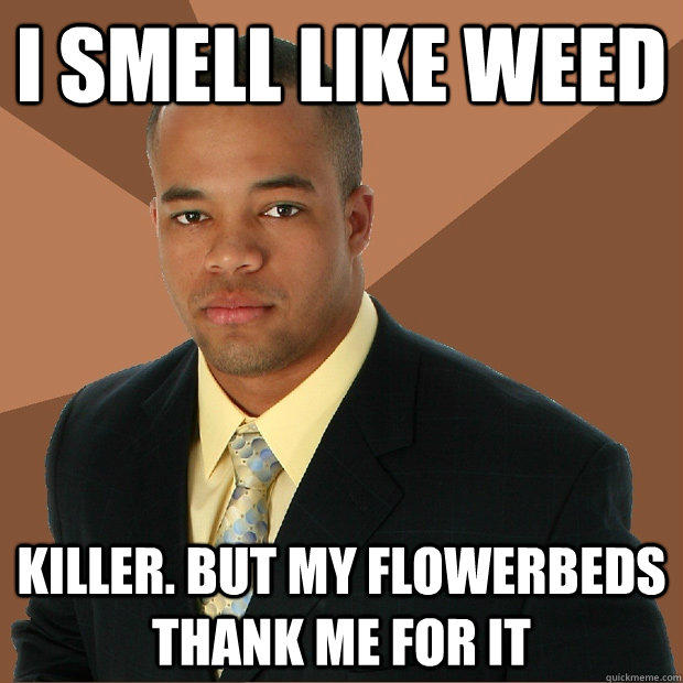 i smell like weed killer. BUT MY flowerbeds THANK ME FOR IT  Successful Black Man