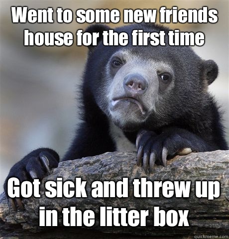 Went to some new friends house for the first time Got sick and threw up in the litter box  Confession Bear