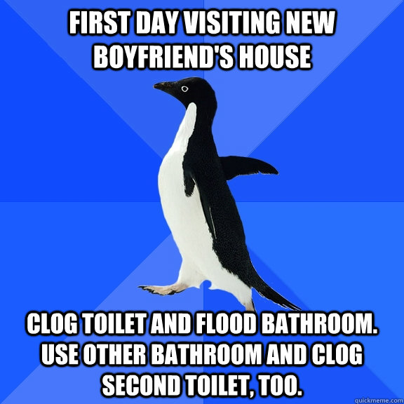 First day visiting new boyfriend's house Clog toilet and flood bathroom. Use other bathroom and clog second toilet, too.  - First day visiting new boyfriend's house Clog toilet and flood bathroom. Use other bathroom and clog second toilet, too.   Socially Awkward Penguin