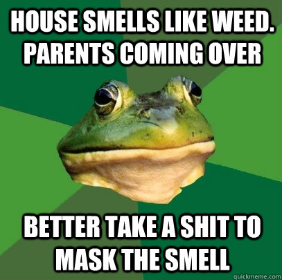 House smells like weed. Parents coming over Better take a shit to mask the smell  Foul Bachelor Frog
